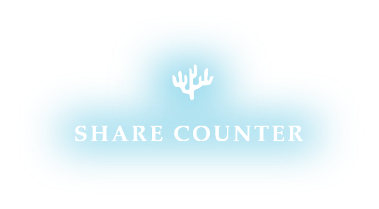 SHARE COUNTER